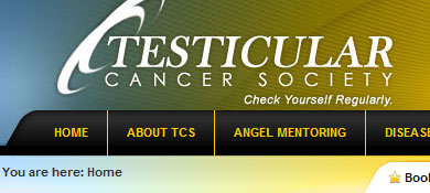 Testicular Cancer Society